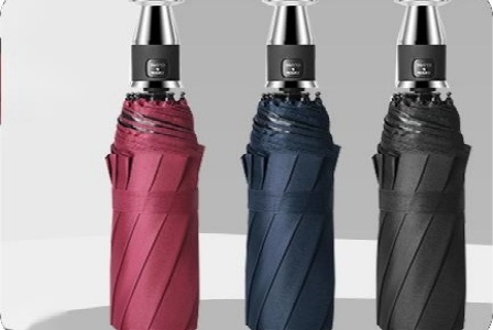 上海黎紫科技有限公司形象图